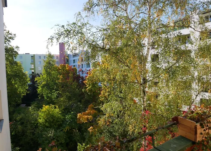 Private Room In The Centre Of Berlin